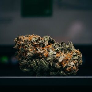 Premium THCA Flower Selection